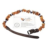 B-A-L Baltic Amber Land Bernsteinkette Hund Haustierhalsband aus baltischem Bernstein - Halsband aus Bernstein und Amethyst für Hunde und Katzen - gegen Flöhe und Zecken (40-45cm)