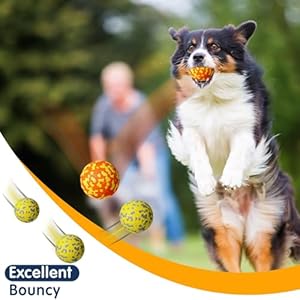 10 Pack Dog Balls for Aggressive Chewers 2.5″ Interactive Dog Tennis Ball Sturdy Teething Chew Toys Floating Bouncy Balls for Dogs for Large Medium Small Dog and Puppies