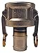 Dixon 3025-C-SS 316SS Female Coupler x 2-1/2" Hose Shank, 3"