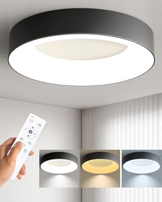 Annaror LED Flush Mount Ceiling Light with Remote Control, 48W 3000K-6500K Dimmable Ceiling Light Fixture, Modern Led Ceiling Lights for Bedroom Kitchen Laundry Room, 15.8 Inch Black