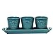 MyGift® Farmhouse Turquoise Ceramic Mini Plant Pot Set with Handled Display Storage Tray, Small Decorative Succulent, Cactus and Herb Planter, 4 Piece Set