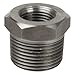 Hex Reducing Bushing, 1 x 3/8 In, 316 SS