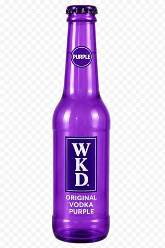 Image of D.I.L 2FT Giant Bottle Money Bank – Large Plastic Coin & Note Saving Piggy Bank for Kids & Adults, Novelty Cash Storage Bottle Gift (Wkd Purple)