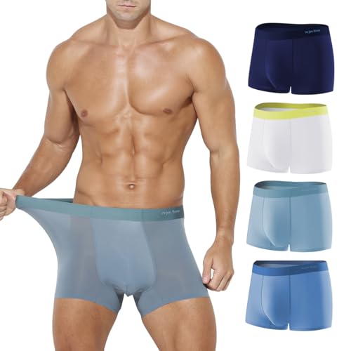 Arjen Kroos Men's Trunks Underwear 4 Pack Seamless Silk Boxer Briefs,LIGHT GREY/DUSTY BLUE/LIGHT...