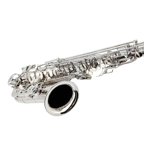 Image of Yinfente Eb Alto Saxophone For Beginners Adult,Saxophone Student,E Flat Alto Sax Full Kit With Reeds,Pads Cushions,Hard Carrying Case,Cleaning Cloth & Rod,Mouthpiece,Gloves,Neck Strap Silver