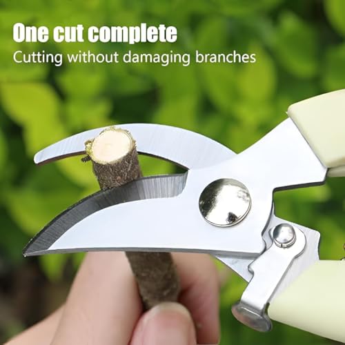 Image of DeoDap Hand Pruner Cutter For Plants - Heavy Duty Steel Blade Garden Pruning Shears - Sharp Plant Trimming Tool for Branch Cutting Grass Shrub Hedge Maintenance Ergonomic Grip Durable Use (Pack of 1)