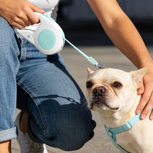 Laisse rétractable pour chien 5m de camping et randonnée avec ruban extensible lumineux - 7