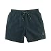 Calvin Klein Men's Micro Solid Volley Swim Trunk
