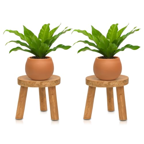 Vintageware® 3-Leg Wooden Planter Stand for Indoor & Balcony | Rustic Wooden Pot Holder & Plant Stand for Living Room Décor (Pack of 2)