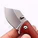 Samior ZL101 Mini Folding Pocket Cleaver Knife, 1.75