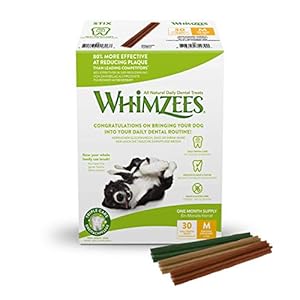 WHIMZEES Stix, Natural and Grain Free Dog Dental Sticks, Dog Chews for Medium Breeds, Monthly Pack (30 Pieces), Size M