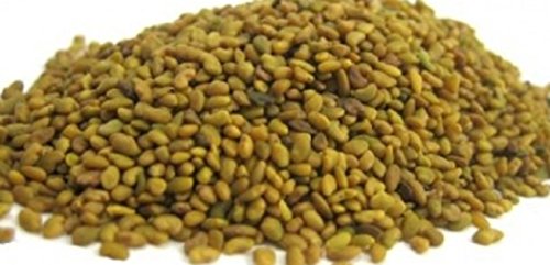 Todd's Seeds Alfalfa Sprouting Seeds, 2.5 Pounds Bulk Alfalfa Seeds, Fast Growing Seeds, Chemical...