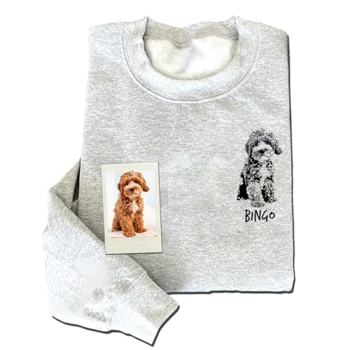 Top 7 Best Collar for Great Pyrenees in 2023 Reviews with Buying