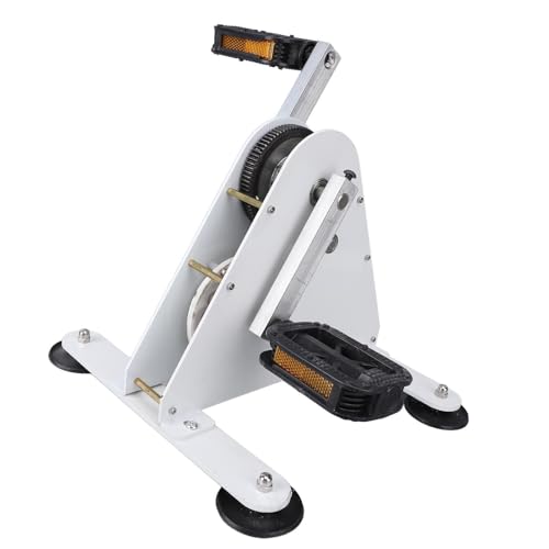 Aolidsive Generatore di Potenza a Pedale Generatore a Magneti Permanenti Coreless da 100 W con 2 Porte USB di Ricarica Rapida e Uscita CC da 1 a 35 V per Alimentazione di Emergenza