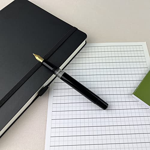 Scrikss 419 Fountain Pen (Black) #TOP2