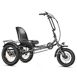 ZYCLE Z500 Electric Tricycle for Adults, 750W Rear Motor Semi-Recumbent Electric Trike, 48V*15Ah 40 Miles Etrike, 20'x4'Fat Tire 3 Wheel Electric Trike for Seniors Gray