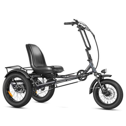 ZYCLE Z500 Electric Tricycle Gray