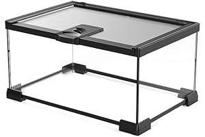 Mini Glass Terrarium for Reptiles: The Perfect Enclosure for Small Critters