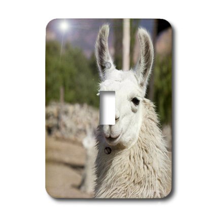 Interrupteur à bascule simple Llama Herd pour remplacer un bouton blanc opaque - 3