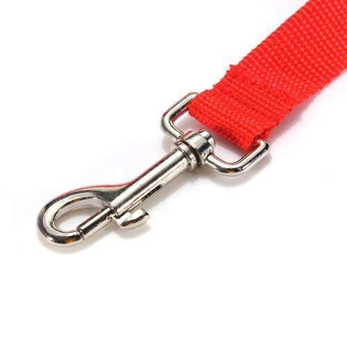 Image of Petlicious & More Nylon Dog Training Lead Dog Leash Long Leash 10 Ft Long Leash for Dogs Walking Leash (1 inch Inch Thick x 10 Ft Long) (Red)