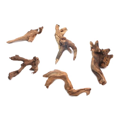 Image of 5Pcs Real Natural Driftwood for Aquarium, Aquarium Decor Wood Freshwater Fish Tank Reptile Driftwood Branch Length 3.93 inch to 5.9 inch