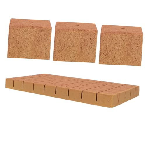 Toddmomy 50piezas Tierra para Plantas Bloques De Nutrientes Fácil Trasplante Adecuado para Interiores y Exteriores