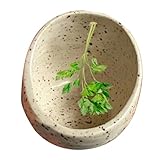 Préparation saine facile: épluche facilement les herbes comme le chou frisé et les herbes salées avec ce bol de pelage d' en céramique innovant, simplifiant la préparation des repas et vous économisant du temps et de l'énergie dans la cuisine