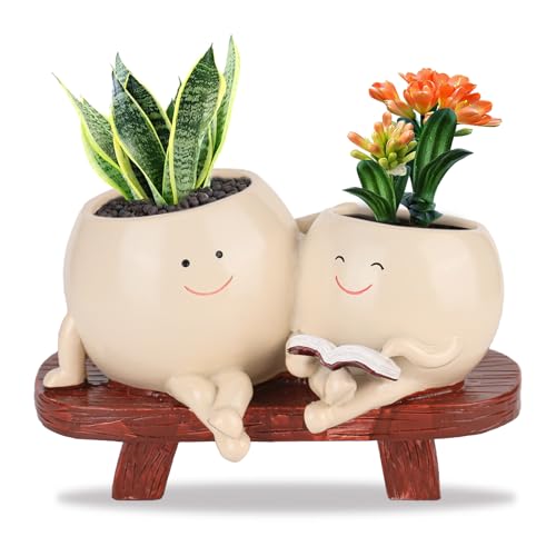 YYTECH Maceta con cara sonriente, columpio grande, maceta para plantas, macetas divertidas para interiores, columpio, maceta con orificio de drenaje, 2 macetas con plantas suculentas