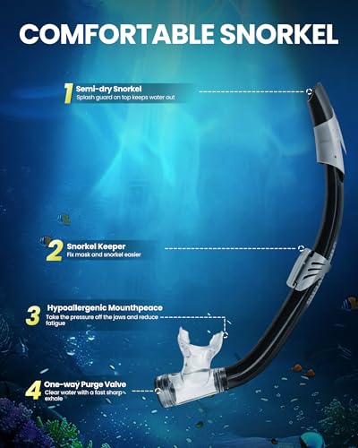 OutdoorMaster x U.S. Divers Cozumel DX Combo Snorkeling Gear for Adults, Travel Use Dry Top Snorkel Set, Anti-Fog Anti-Leak Scuba Diving Mask for Snorkeling Swimming