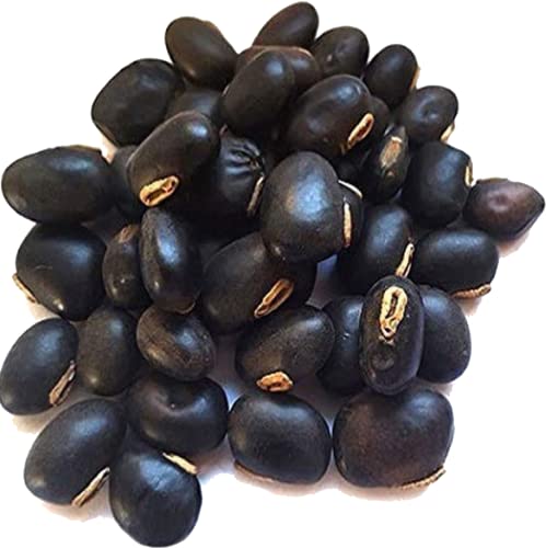 Hardia Ashwagandha shatavari vidharikand kaunch beej safed musli whole root herb 500gm combo pack 100g each