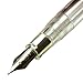 Sailor Junior Skeleton Demonstrator Nickle Chrome Platedmf Nib Fountain PEN