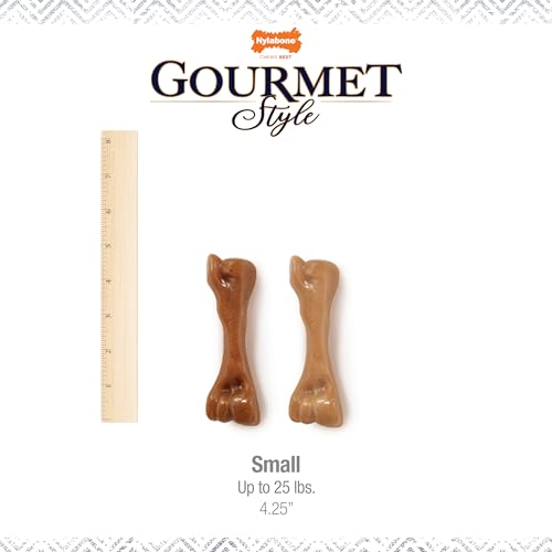Image of Nylabone Strong Chew Gourmet Style Dog Chew Toy, Small, 2 Count