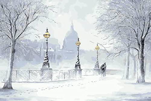 Broderie point de croix débutant kit complet estampe toile 11CT motif neige 40x50
