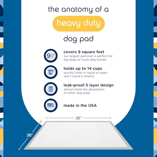Image of Pet Life Unlimited Heavy Duty 3XL Puppy Pads for Dogs, Potty Training Pee Pads, 25 Count, 36 inch x 36 inch, Leak-Proof, Super Absorbent, Quick-Dry, Odor Control Clover Leaf Scent, Made in USA (Pack of 2)