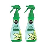 Miracle-Gro Leaf Shine Spray - For Indoor Hard-Leaved Houseplants, Cleans and Beautifies Foliage - 8 fl. oz. (2 Pack)