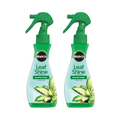 Miracle-Gro Leaf Shine Spray - For Indoor Hard-Leaved Houseplants Cleans and Beautifies Foliage - 8 fl. oz. (2 Pack)