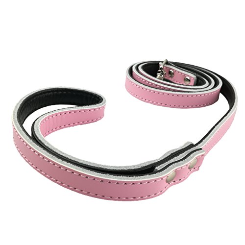 Newtensina Laisses pour Animaux de Compagnie Laisse de Chien en Laisse pour Chiots en Cuir pour Chien Cover