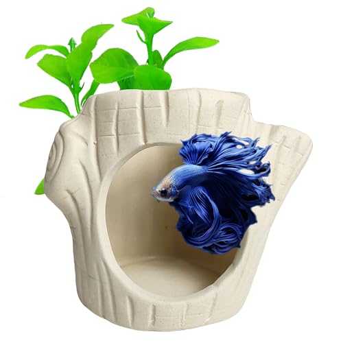 SpringSmart Lot de 2 grottes décoratives pour aquarium en plastique Betta pour poissons, crevettes, tortues, crabes, niches, niches, niches en céramique