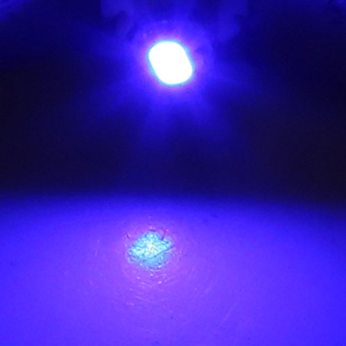 uxcell 12pcs 12V T3 LED azul para auto miniatura 5