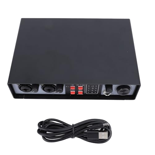 Audio Mixer 2 en 2 OUT avec Digital Audio Mixer et préampli 48V Phantom Power de Recording Studio