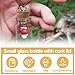 Wshxjzyay 30 Pack Small Glass Bottles with Cork Stoppers, Small Mini Glass Bottles Tiny Jars with Cork Lids, 1ml