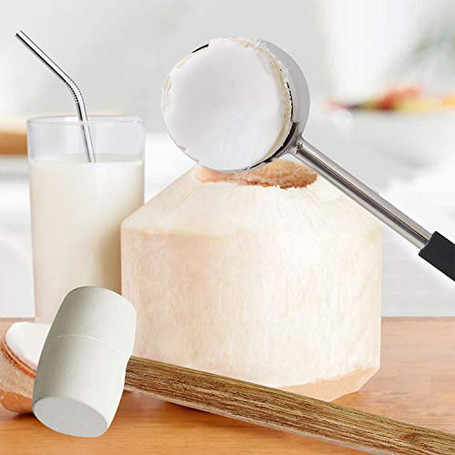Coconut Opener Tools with Hammer Super Safe & Easy to Open Young Coconuts, Food Grade Stainless Steel Opener, Rubber Mallet with Handle by KINGLEV