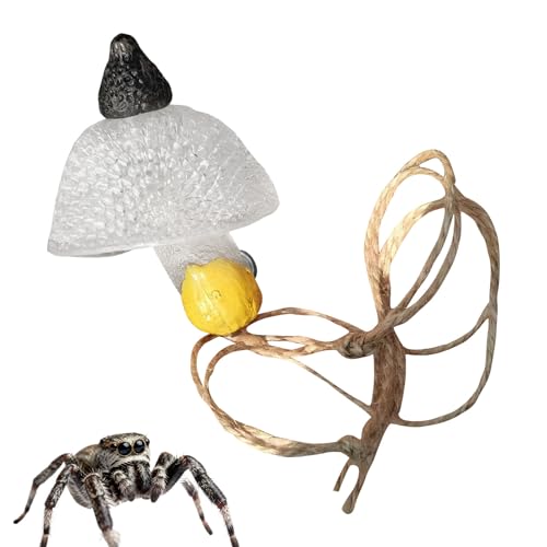 XUQEAYWD �n�G�g���O�� ����P�[�X �A�N�Z�T���[,���� ���A�� �L�m�R ঒��� �^���N ����,�W�����s���O�X�p�C�_�[ �n�C�f�B���O �n�r�^�b�g | �̉a �V�� �o�� �x�� �p �A�N�A���E�� �P�[�W ���[�������h�X�P�[�v