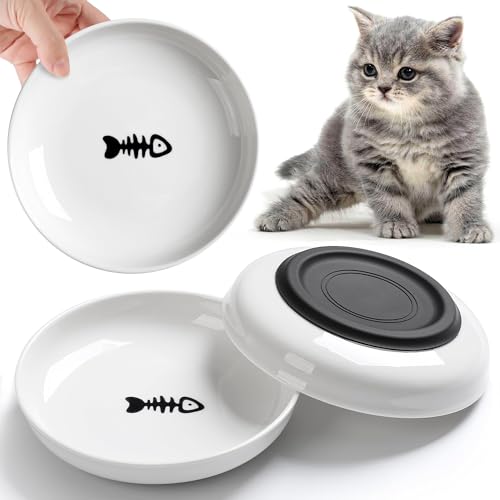 WROSWT No Spill Ceramic Cat Bowls