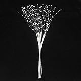 PEARL SPRAY 12 STEMS Brill Addition 2 Buttonholes & Wedding Flower Bouquet Craft ((978) Iridescent) by floral supplies