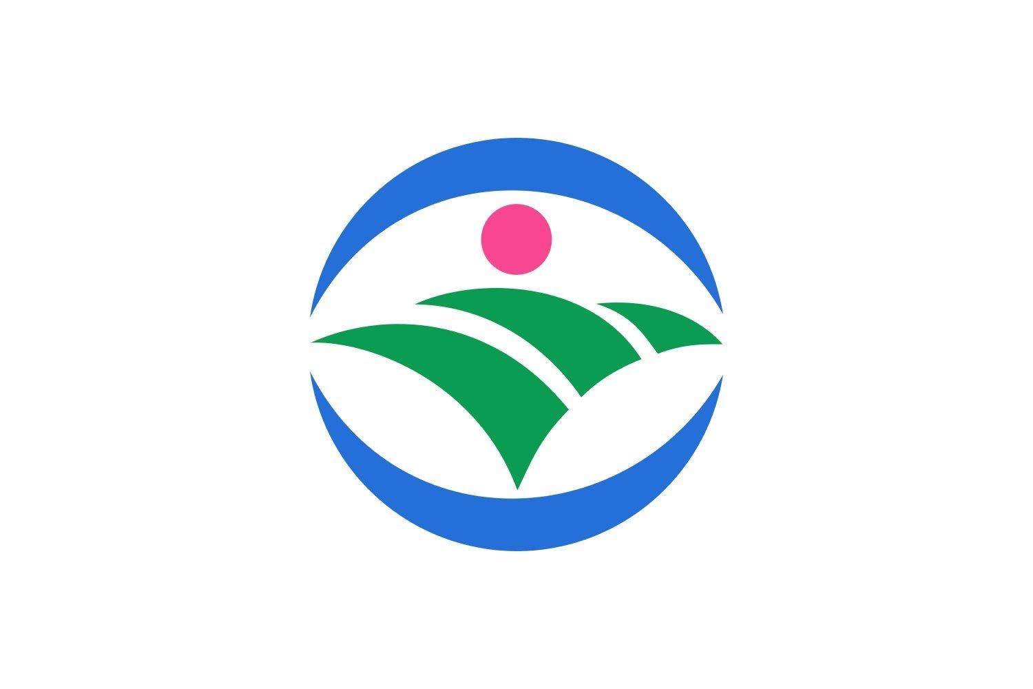 Drapeau Large Mima Tokushima de 1.35m² pour mât extérieur