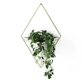 Umbra Trigg Hanging Planter...