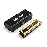 Vangoa - Blues Deluxe 10 Hole Diatonic Harmonica with Case - Key of C (Golden)