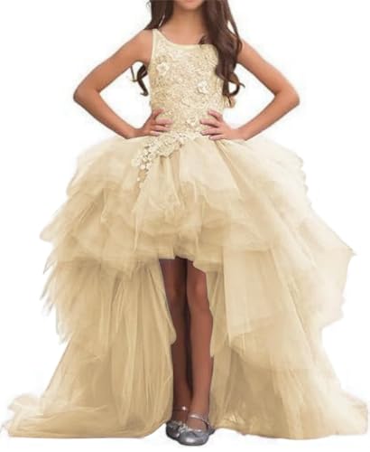 Tulle Kids Prom Dress Flower Girls Dress High Low Lace Applique Princess Pageant Gowns with Train