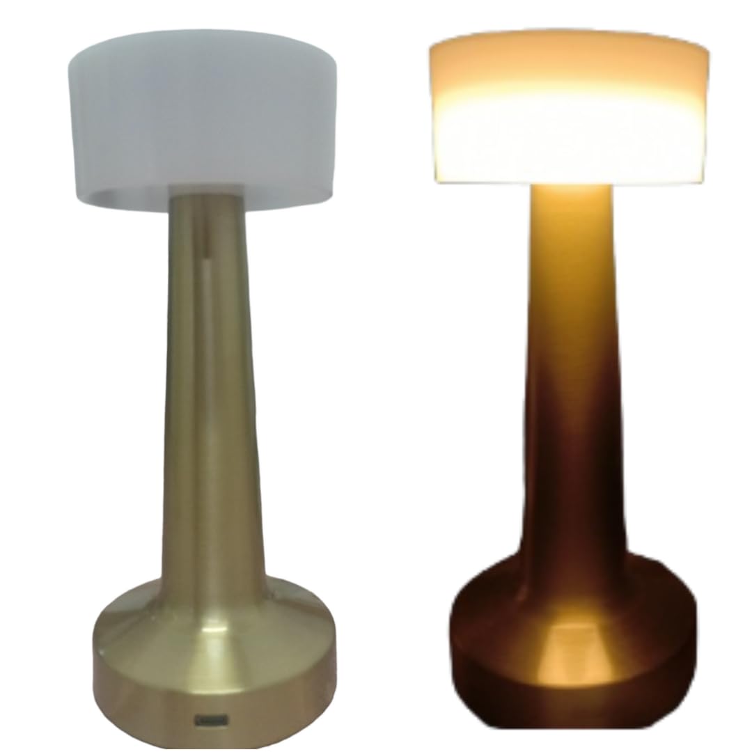 KEd Touch Sensor LED Desk Lamp, 3 light intensity Table Lamp, Portable Cordless Desktop Lamp, Rechargeable LED Light Lamp, Modern Night Light Lamp for Restaurant, Bar, Garden, Bedroom/Bedside, Hallway